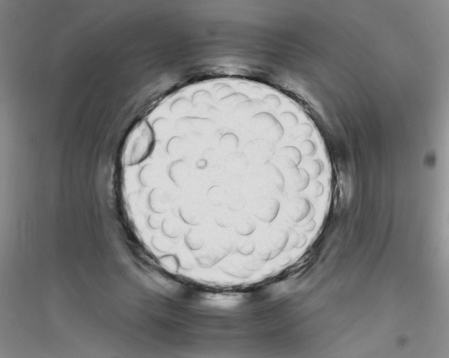X0000116840639201001291705