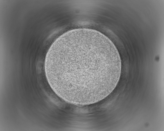 X0000116840640201001291705