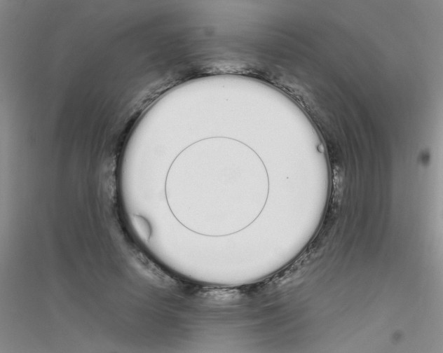 X0000116840642201001291705