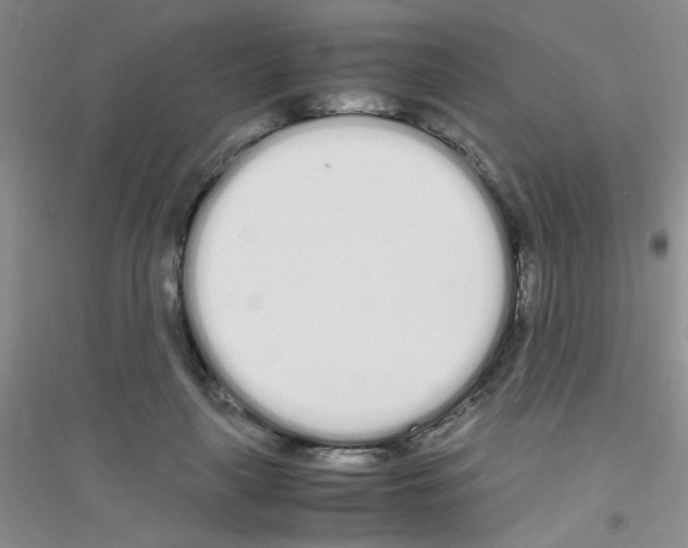 X0000116840643201001291705