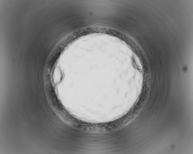 X0000116840644201001291705