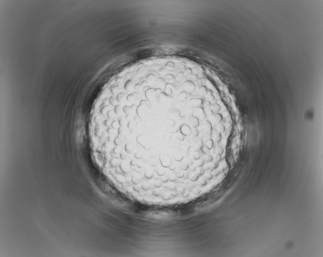 X0000116840646201001291705