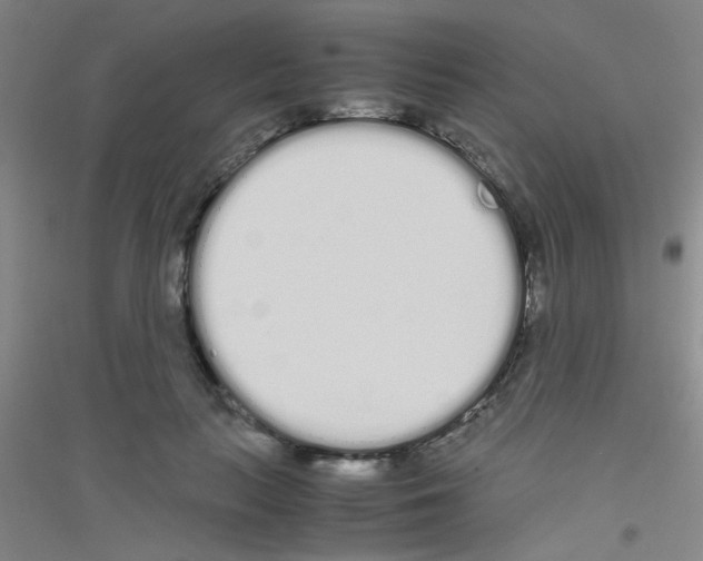 X0000116840647201001291705