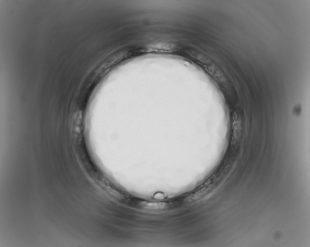 X0000116840649201001291705