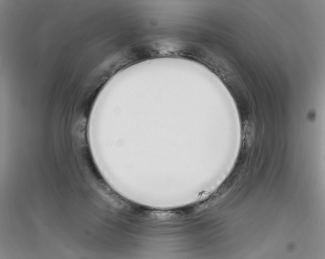 X0000116840650201001291705