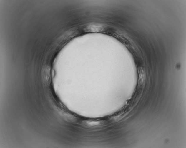 X0000116840651201001291705