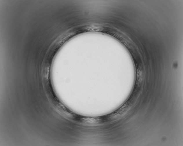 X0000116840652201001291705