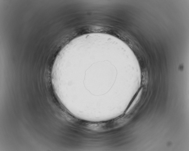 X0000116840653201001291705