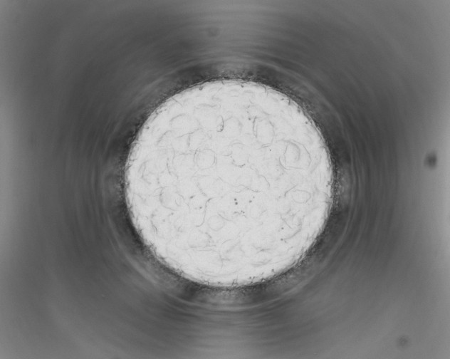 X0000116840654201001291705