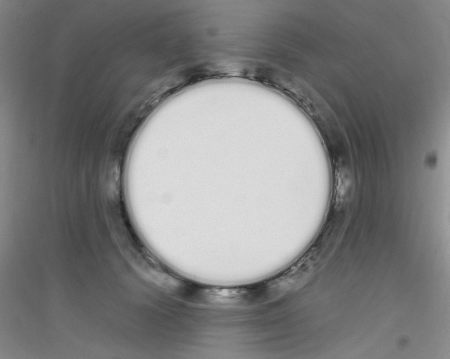 X0000116840656201001291705