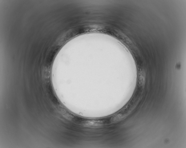 X0000116840657201001291705