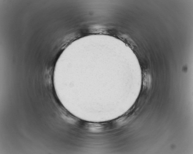 X0000116840658201001291705