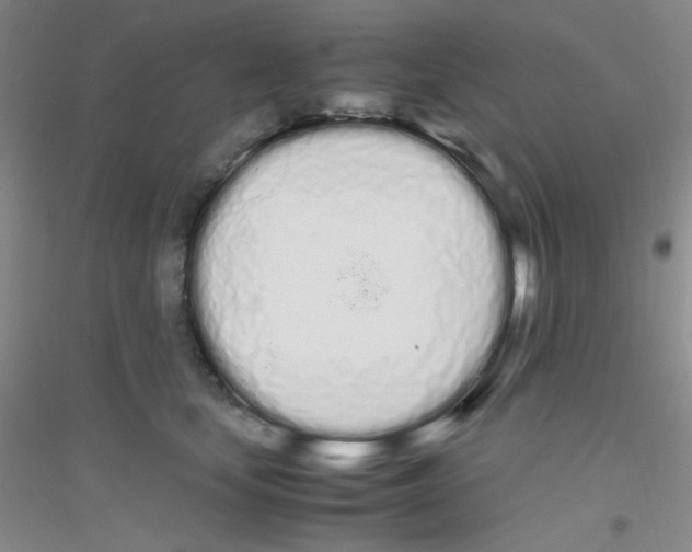 X0000116840659201001291705