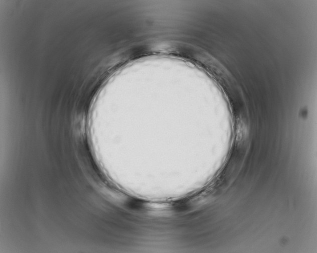 X0000116840660201001291705