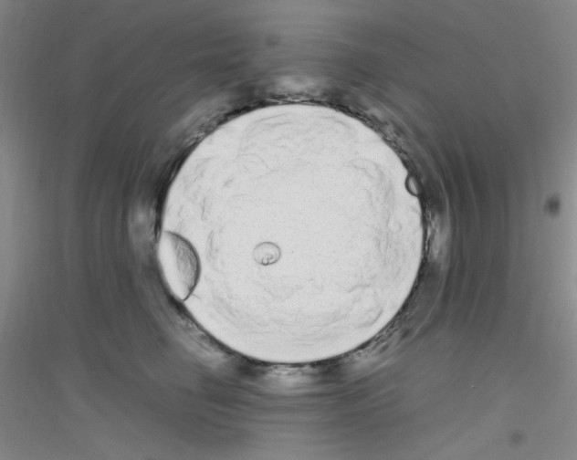 X0000116840662201001291705