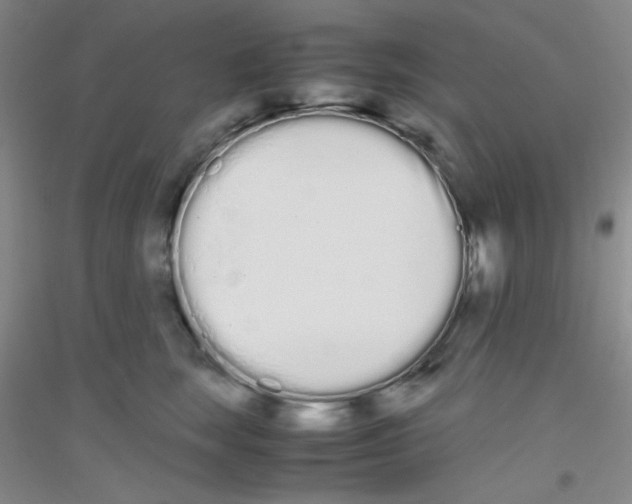 X0000116840663201001291705