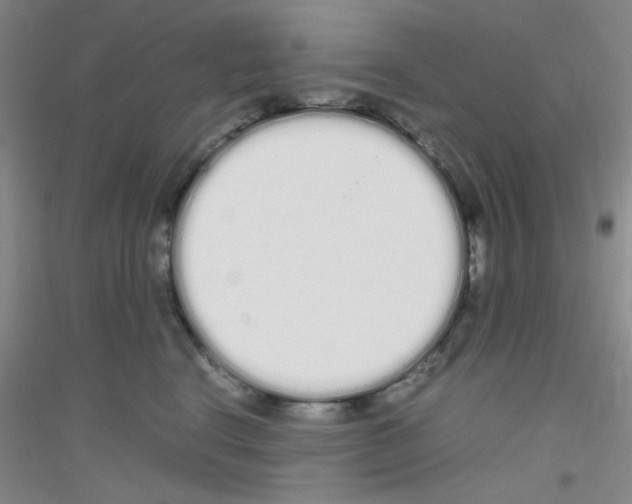 X0000116840664201001291705