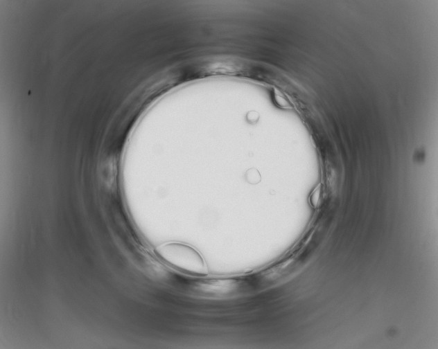 X0000116840665201001291706