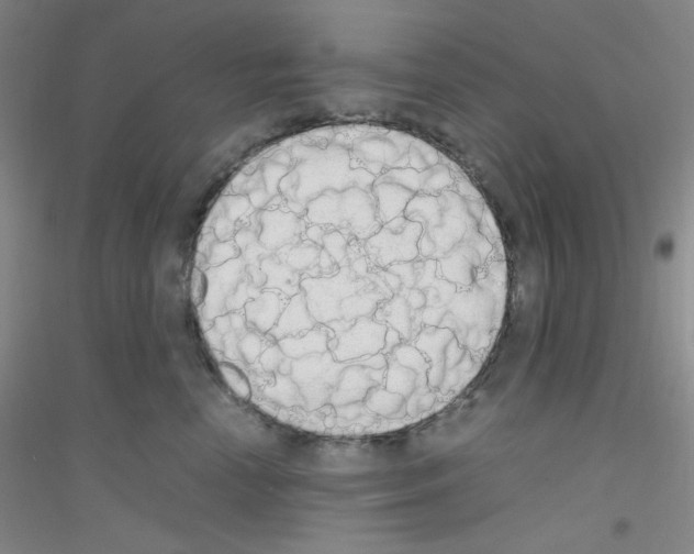 X0000116840666201001291706