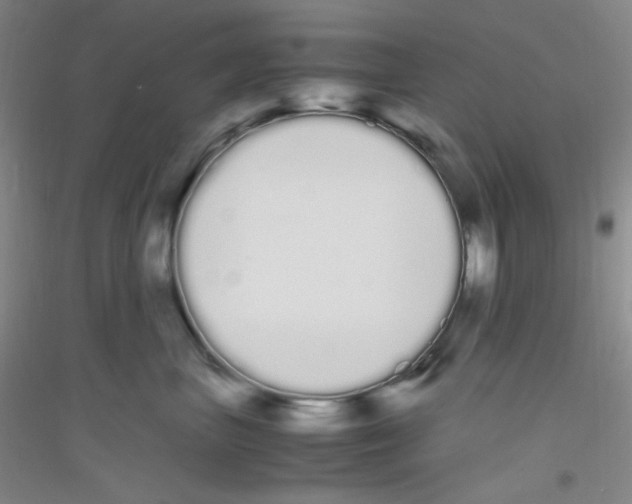 X0000116840667201001291706