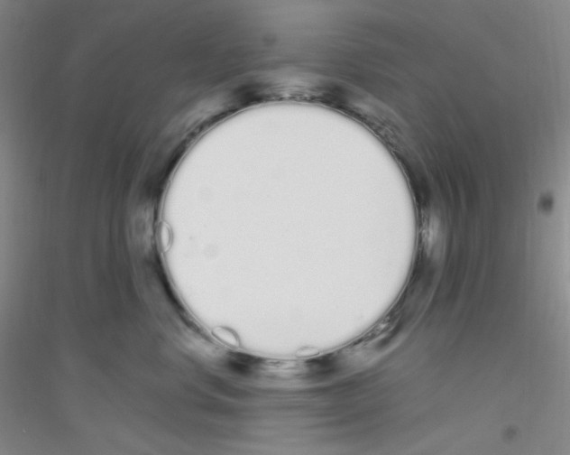 X0000116840668201001291706