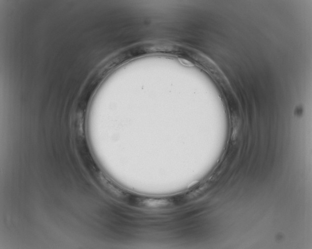 X0000116840669201001291706