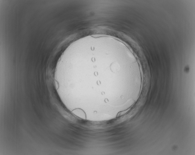 X0000116840670201001291706