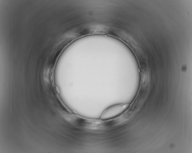 X0000116840671201001291706