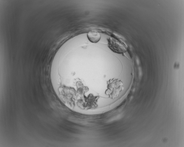 X0000116840672201001291706