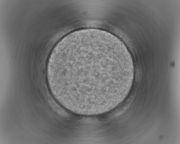 X0000116840673201001291705