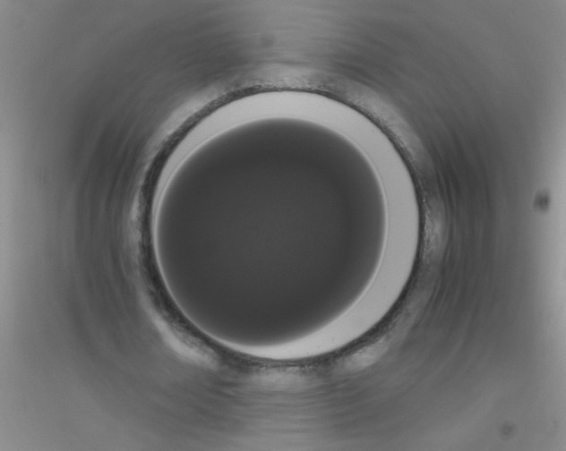 X0000116840674201001291705