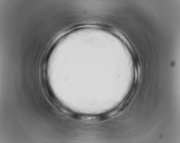 X0000116840675201001291705