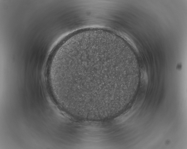 X0000116840676201001291705