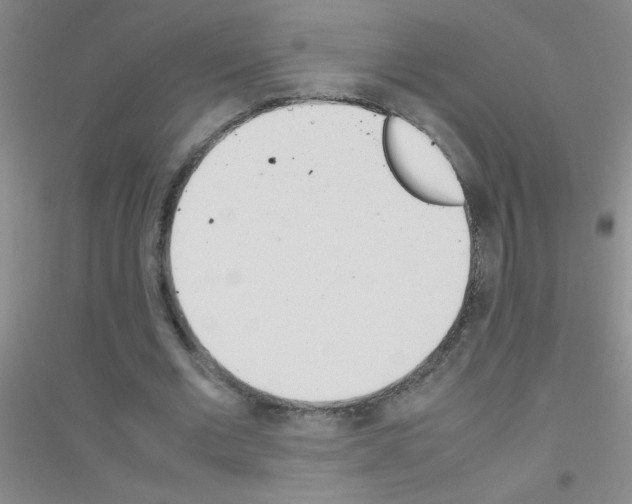 X0000116840677201001291705