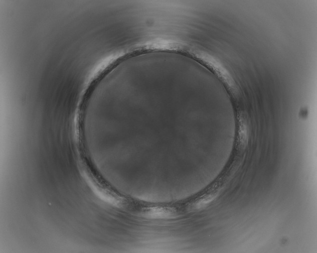 X0000116840678201001291705