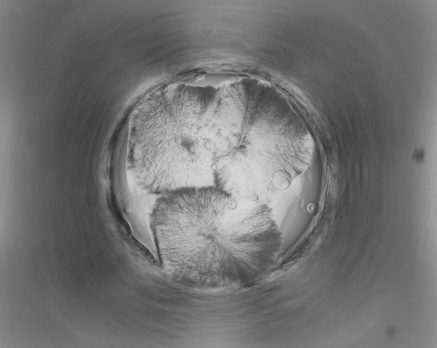 X0000116840679201001291705
