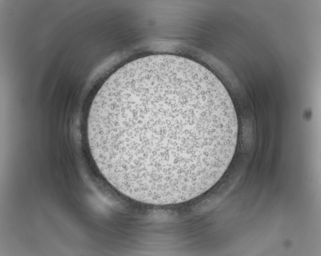 X0000116840682201001291705