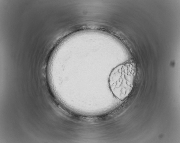 X0000116840683201001291705