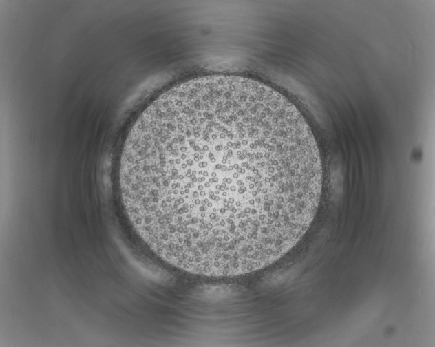 X0000116840686201001291705