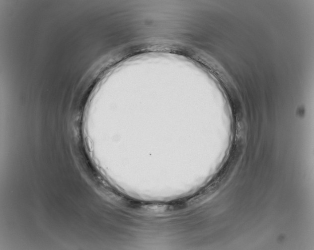 X0000116840687201001291705