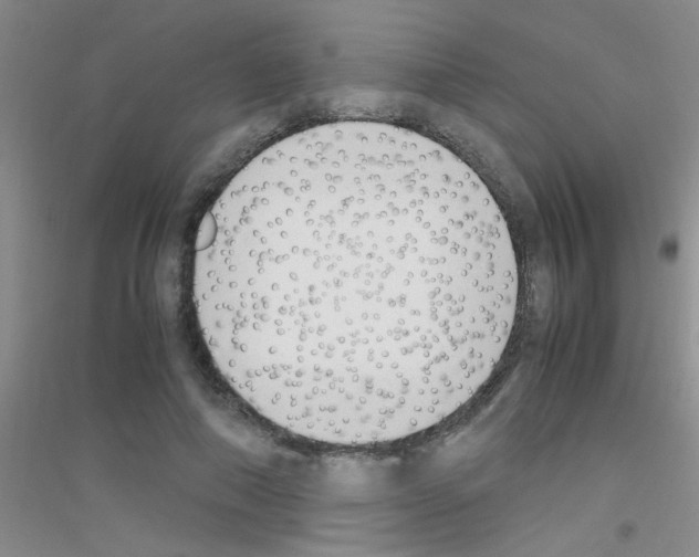 X0000116840690201001291705