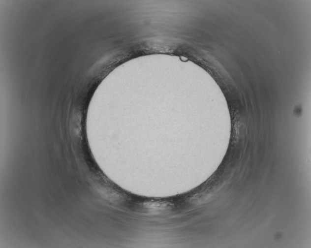 X0000116840693201001291705