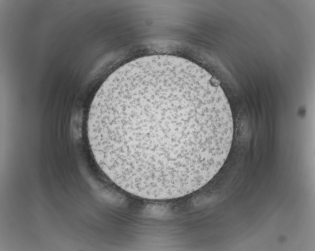 X0000116840694201001291705