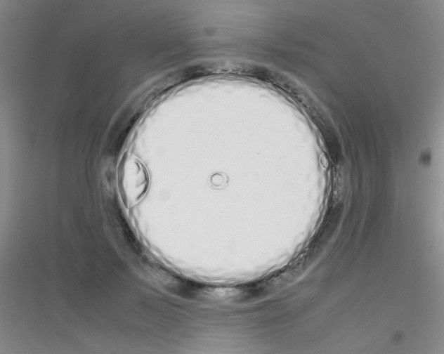 X0000116840695201001291705