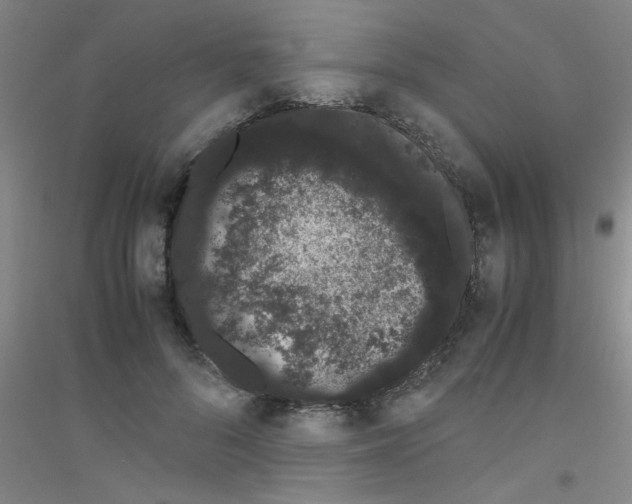 X0000116840696201001291705