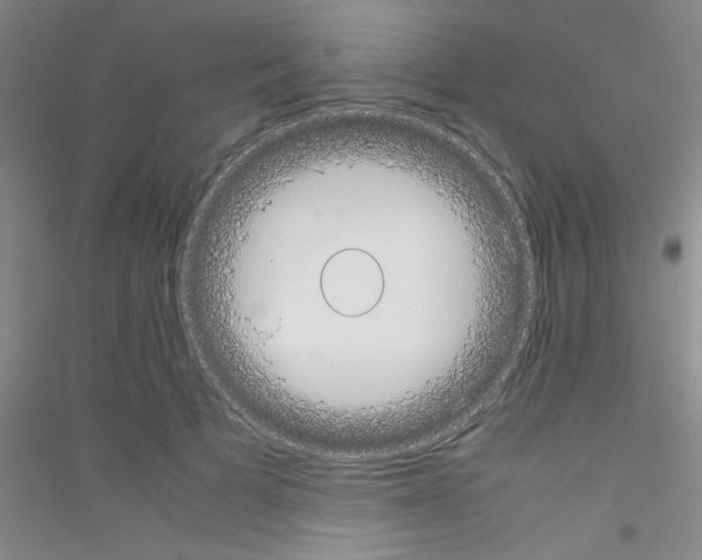 X0000116840697201001291705