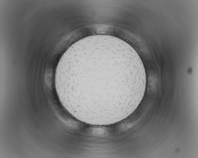 X0000116840698201001291705