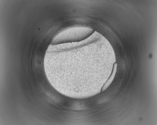 X0000116840700201001291705
