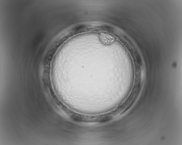 X0000116840701201001291705