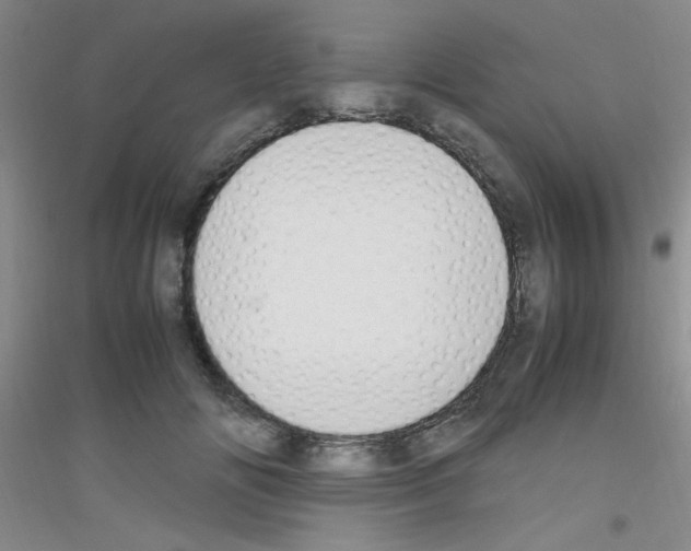 X0000116840702201001291705